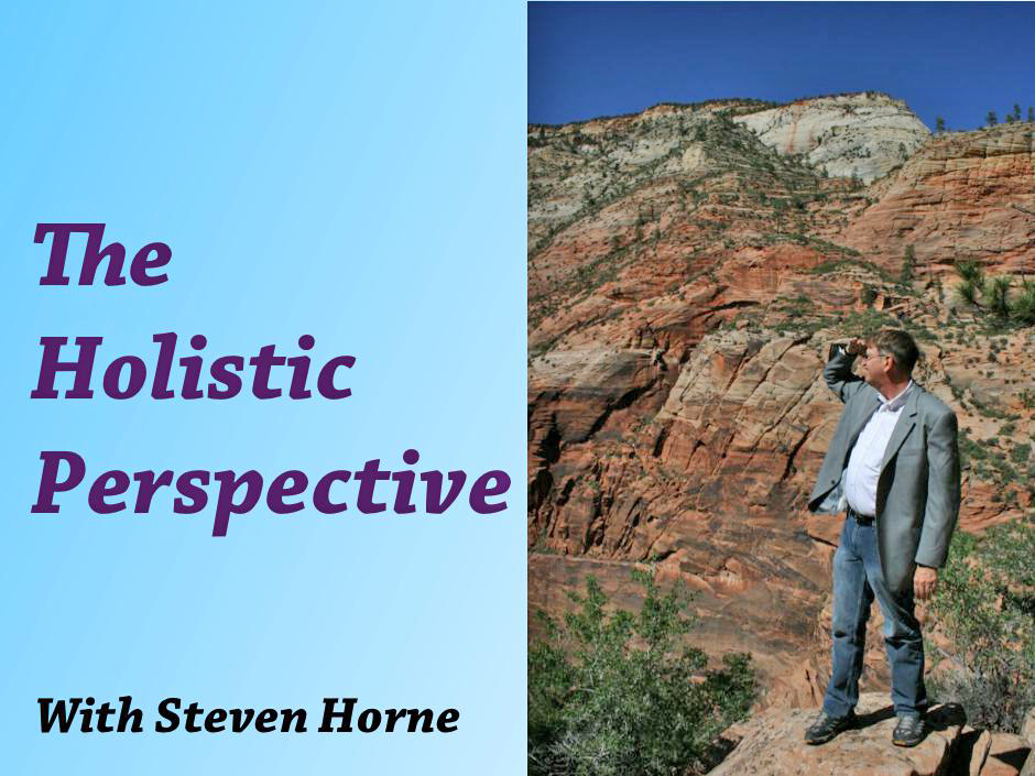 The Holistic Perspective